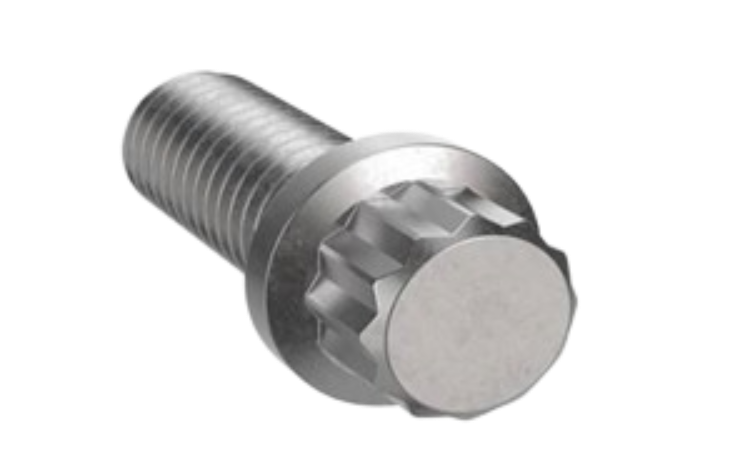 Ferry Bolt 